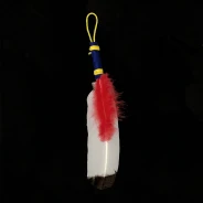 Ceremonial Feather